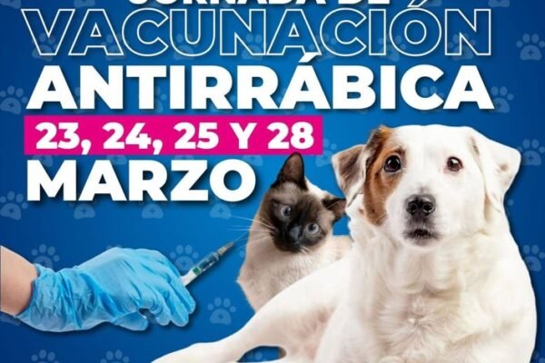 Amecameca abre nuevas fechas para vacunación antirrábica de mascotas