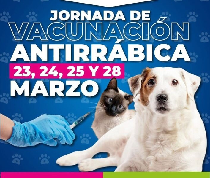 Amecameca abre nuevas fechas para vacunación antirrábica de mascotas