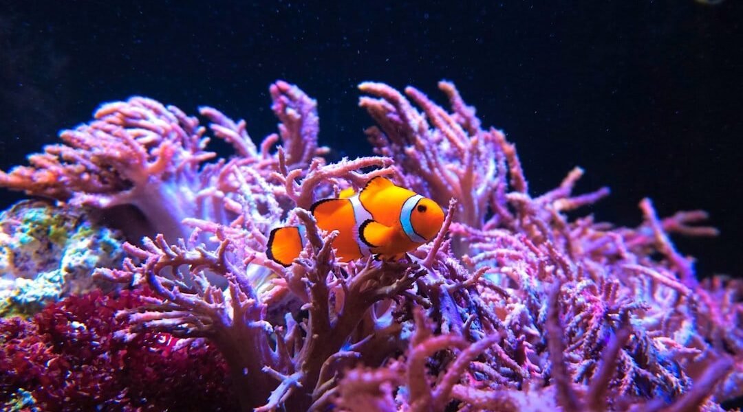 Nuevas especies gigantes emergen de las profundidades del Pacífico chileno