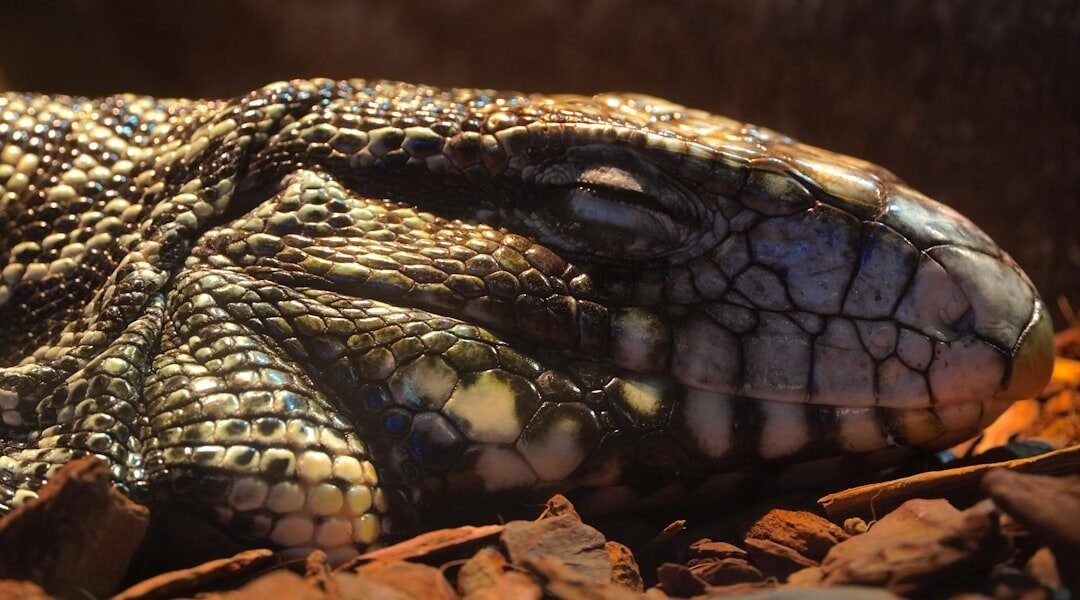 México descubre una serpiente completamente desconocida para la ciencia