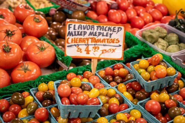 México logra reducir grasa en sangre con etiquetado frontal en alimentos