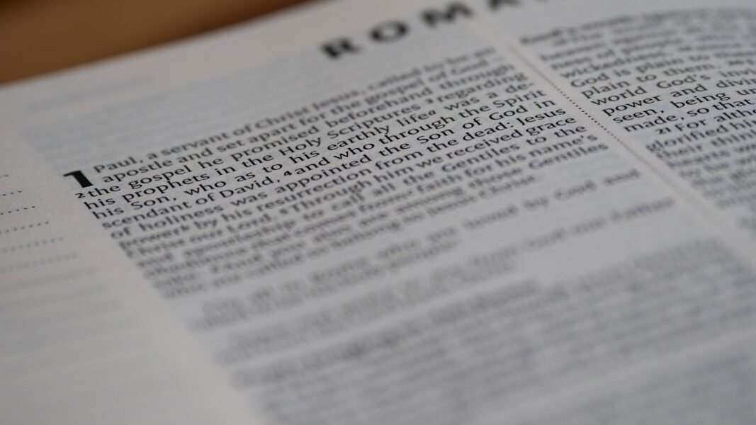 Sonora: el legado de cinco mujeres pioneras que transformaron México