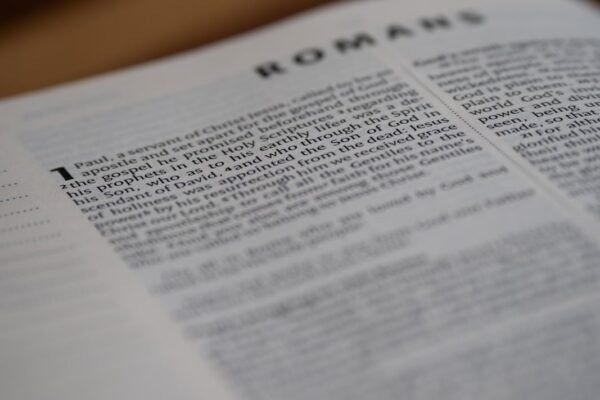 Sonora: el legado de cinco mujeres pioneras que transformaron México