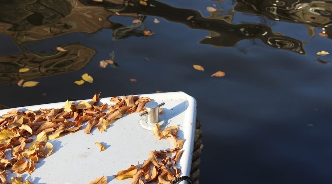 Insectos: Los guardianes invisibles que revelan la salud de nuestras aguas