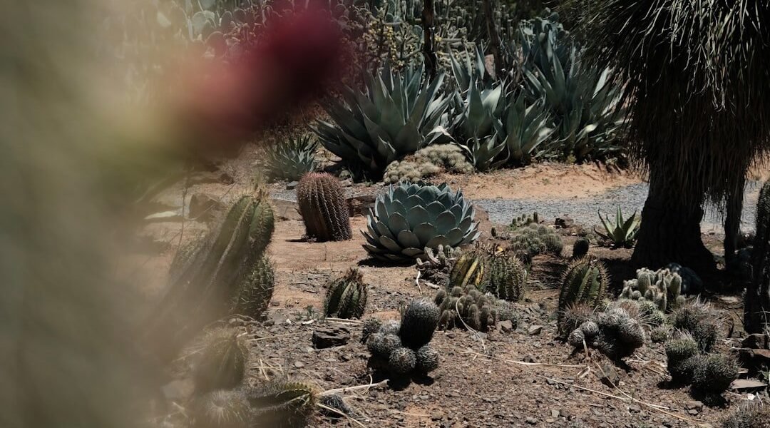 Velasco: cuando la pintura se encuentra con la precisión científica