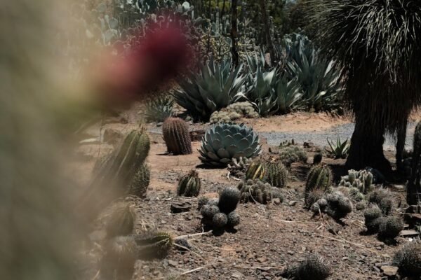 Velasco: cuando la pintura se encuentra con la precisión científica