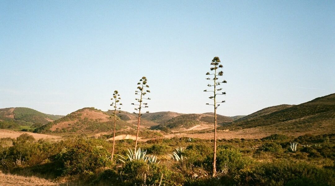 José María Velasco: cuando la ciencia y el arte pintan el mismo paisaje