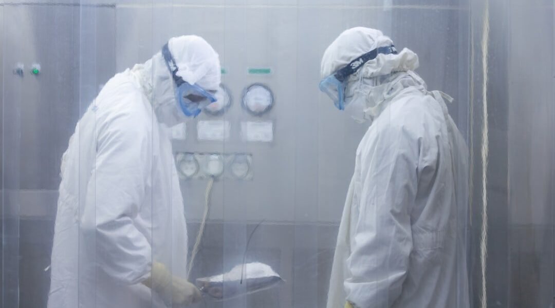 Científicos federales estadounidenses destituidos: el debate sobre el futuro de la investigación