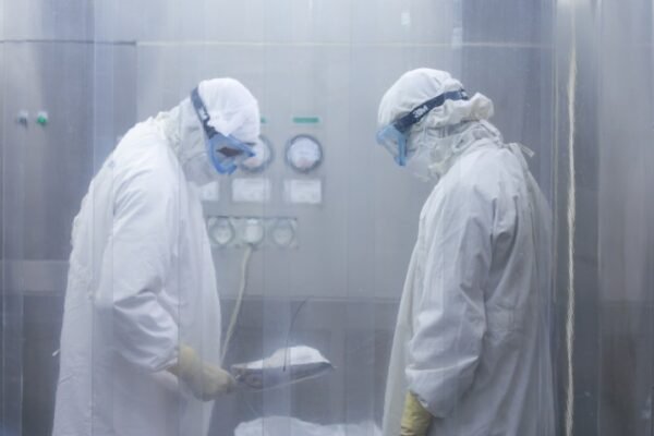 Científicos federales estadounidenses destituidos: el debate sobre el futuro de la investigación