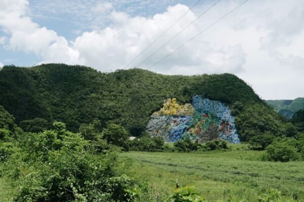 Velasco: cuando la ciencia y el arte pintan el mismo cuadro