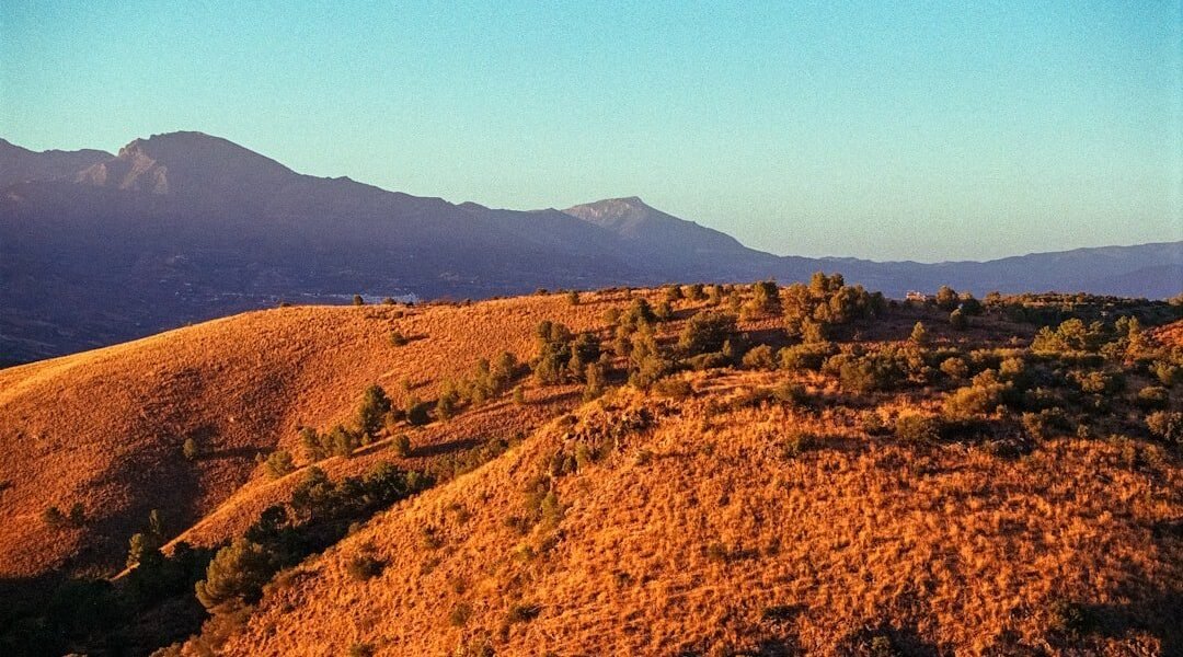 Velasco: cuando la pintura dialoga con la ciencia natural