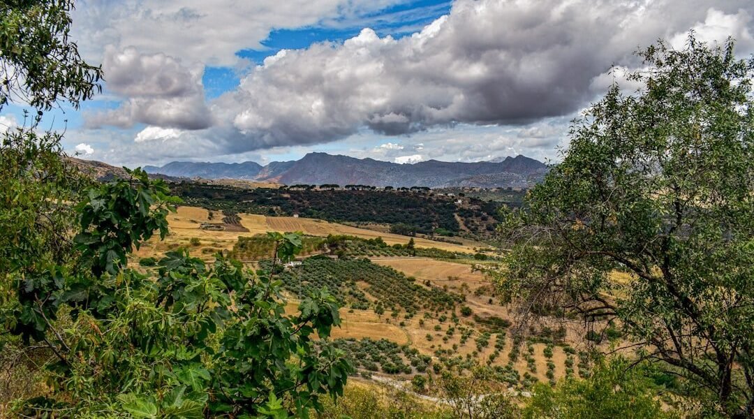 José María Velasco: cuando la pintura abraza el rigor científico