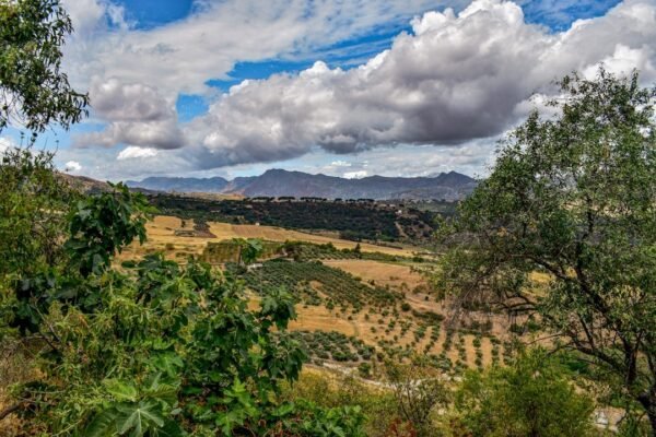 José María Velasco: cuando la pintura abraza el rigor científico