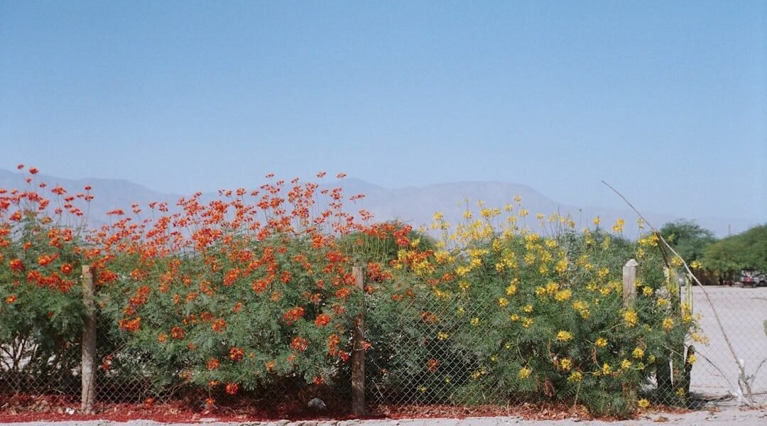 Velasco: cuando la naturaleza se convierte en laboratorio del pintor