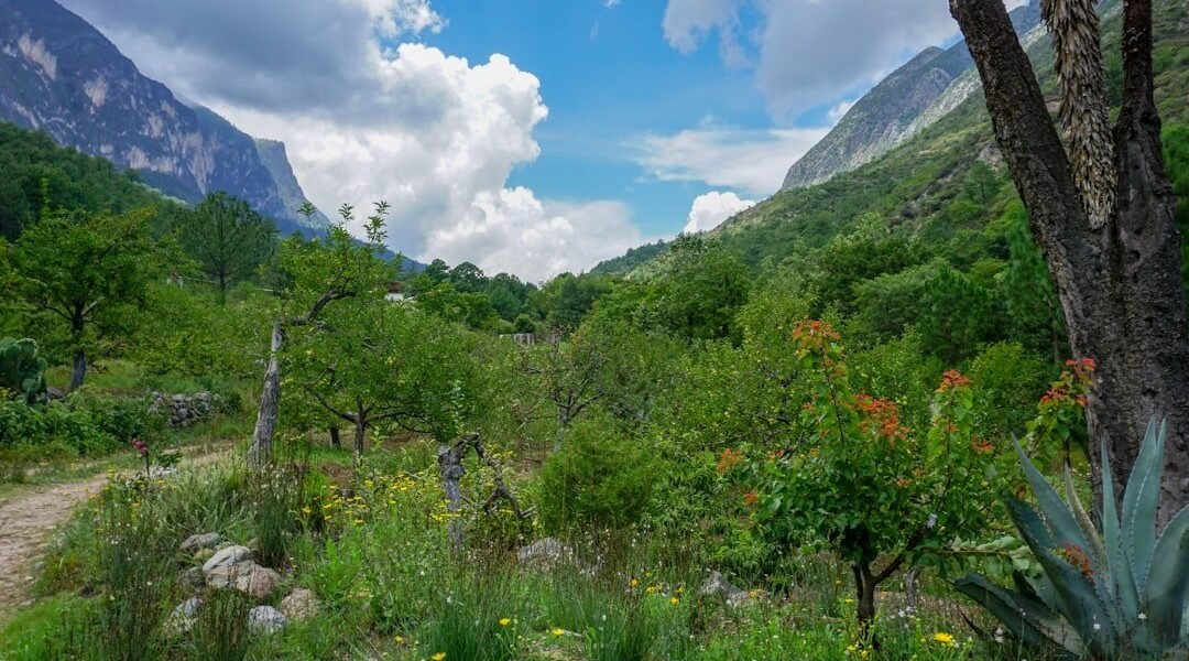 José María Velasco: cuando la pintura abraza la precisión científica