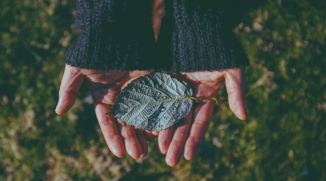 Más de 100 organizaciones pierden estatus fiscal en México por incumplimientos regulatorios