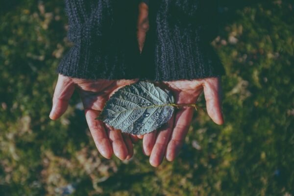 Más de 100 organizaciones pierden estatus fiscal en México por incumplimientos regulatorios