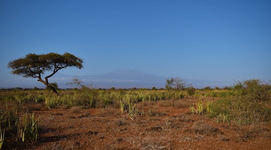 Cuando la tierra grita: el documental que expone el despojo en comunidades zapotecas
