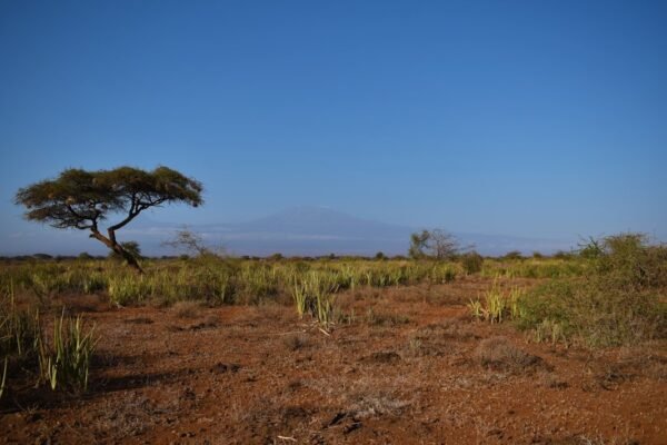 Cuando la tierra grita: el documental que expone el despojo en comunidades zapotecas