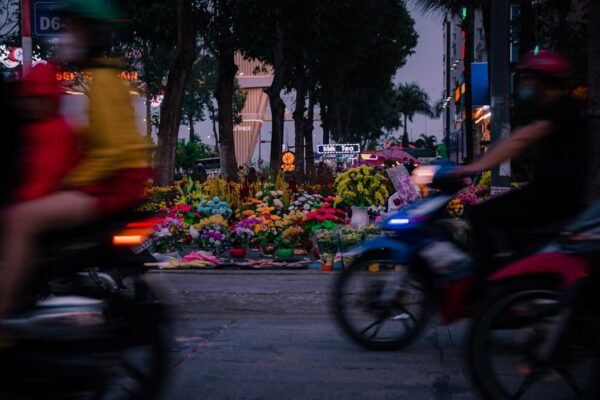 El cine mexicano en streaming: cuando la pantalla grande encuentra su segundo hogar
