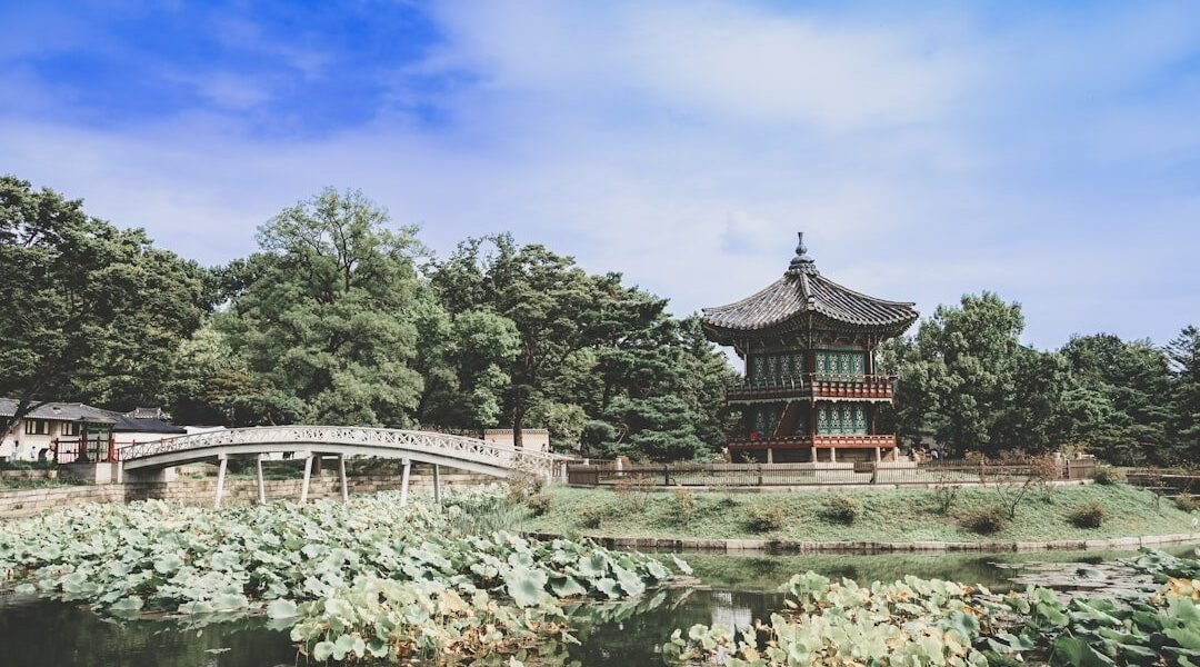 Dos décadas de puentes culturales: el Centro Coreano cumple años en Argentina