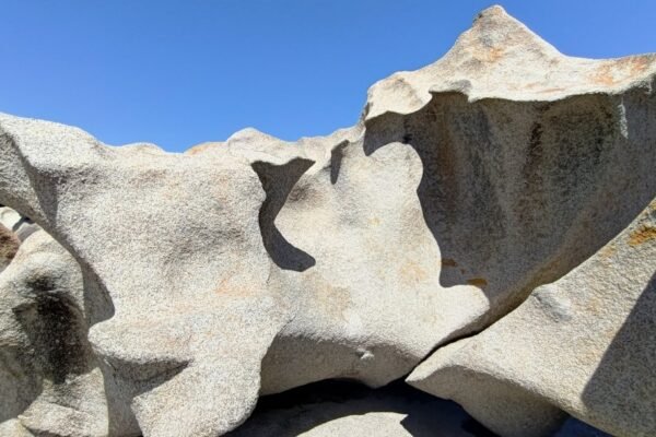 Adiós a Pedro Friedeberg: el poeta visual que reimaginó la realidad