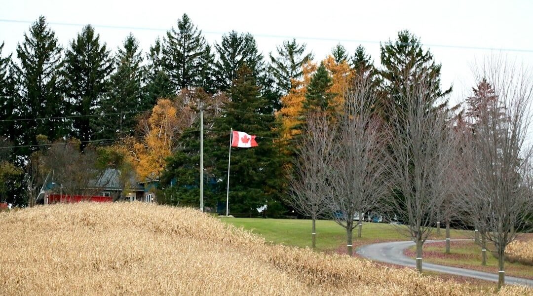 El orgullo nacional en tiempos de incertidumbre: ¿qué significa hoy amar a nuestro país?