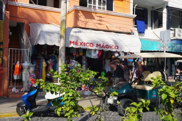 La concentración de riqueza en México: un espejo de la desigualdad latinoamericana