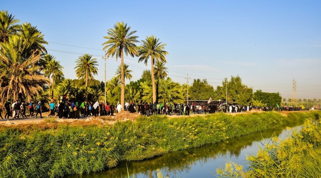 Raíces y fronteras: el cine que cultiva nuevas miradas sobre migración