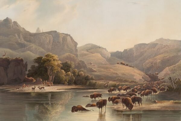 Raíces y fronteras: el cine que reimagina la ecología desde la diáspora