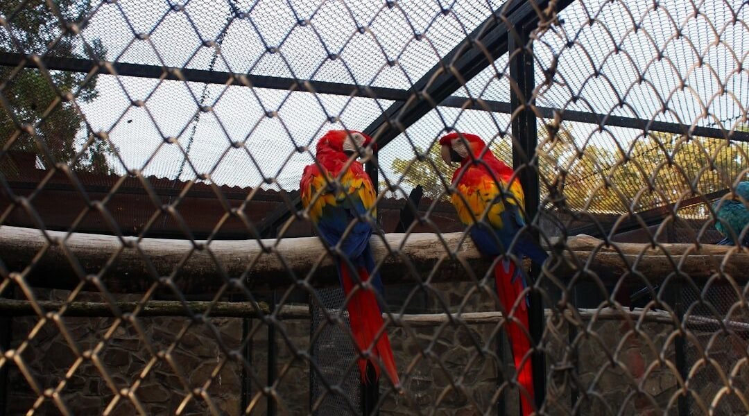 El Simón Bolívar renace: cuando los espacios públicos vuelven a la vida