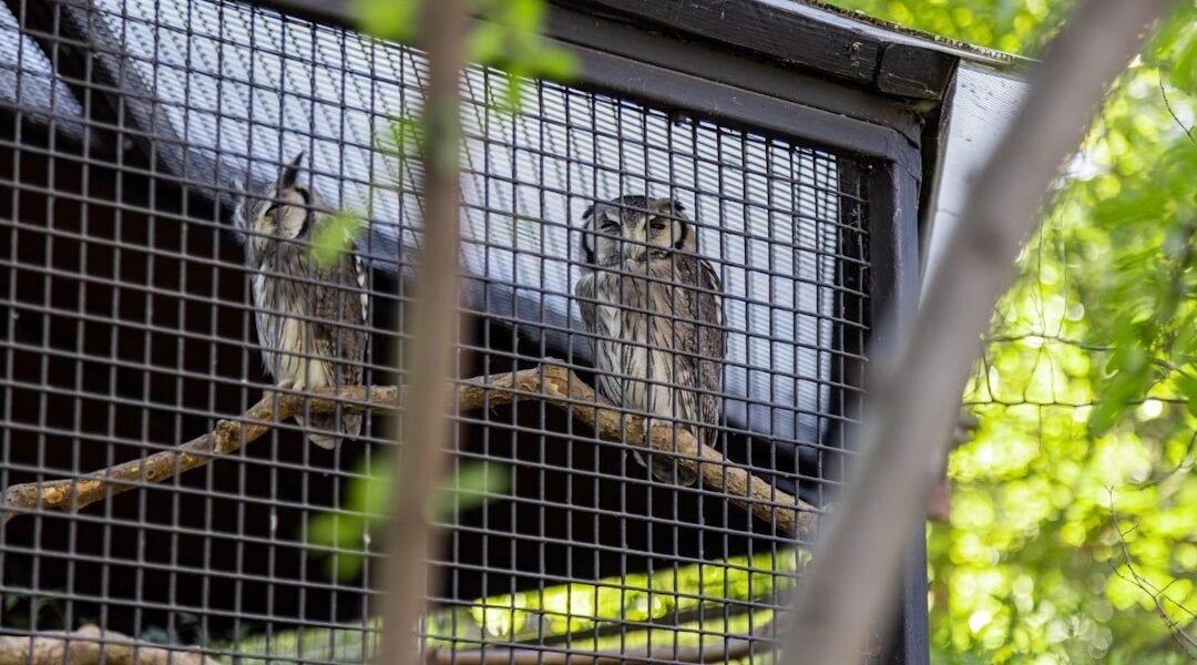 El Simón Bolívar renace: cuando los espacios públicos regresan a la vida