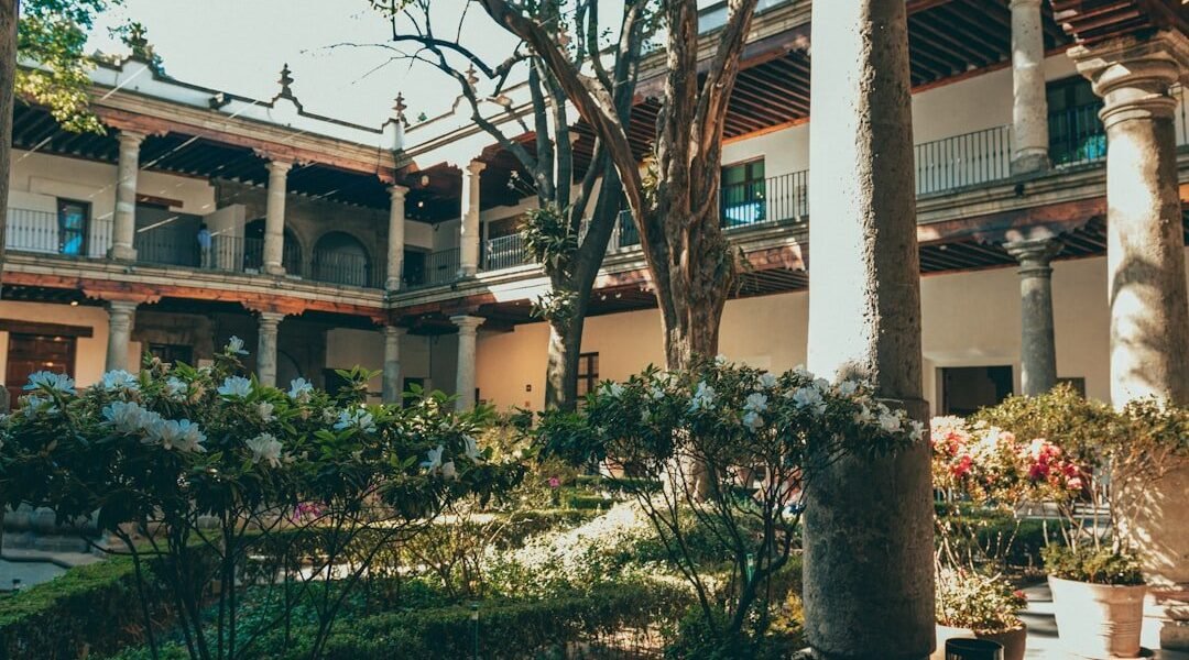 México City: la capital donde el arte respira en cada esquina