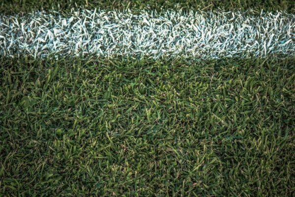 Superclásico sin coronas: Ortiz y Meneghini buscan romper su maldición