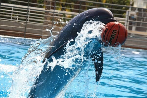 México brilla en Montreal: Olvera y Celaya conquistan el podio mundial