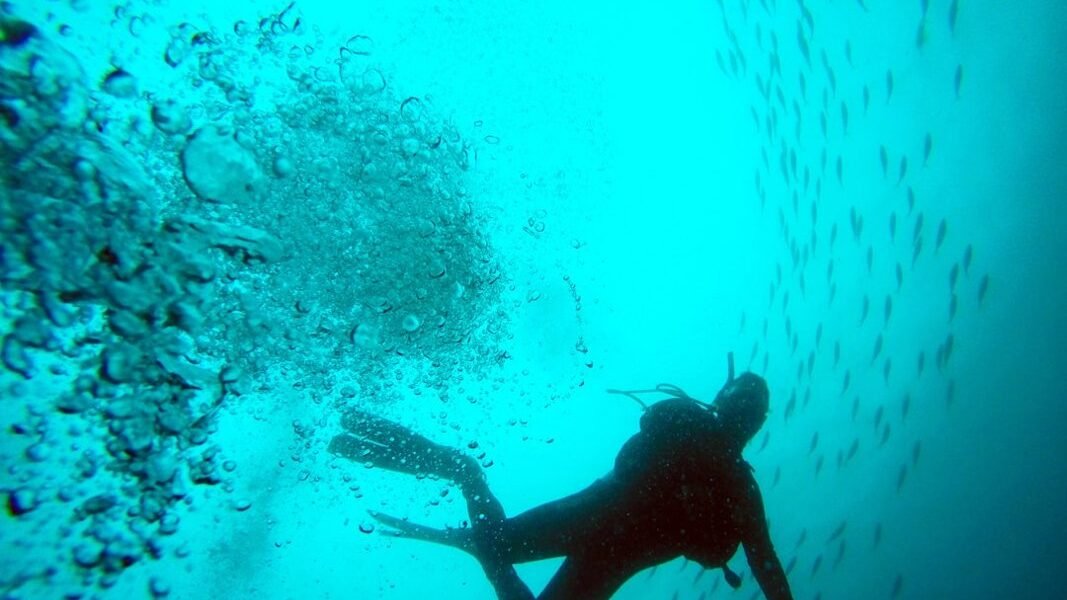 México brilla en Montreal: Olvera y Celaya conquistan el podio mundial