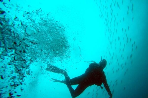 México brilla en Montreal: Olvera y Celaya conquistan el podio mundial