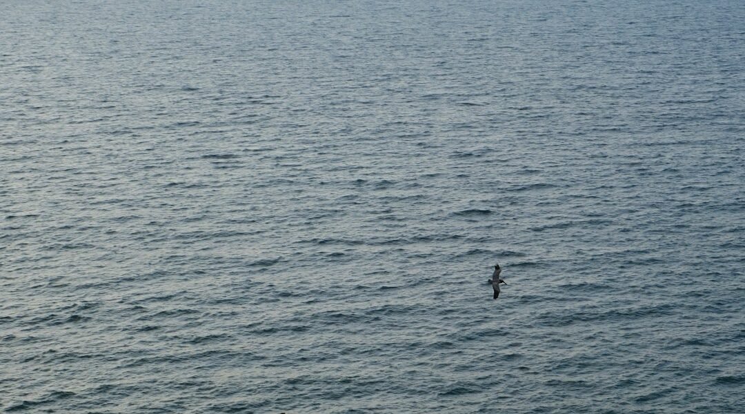 México lucha por recuperar Mundial de Clavados tras crisis de seguridad