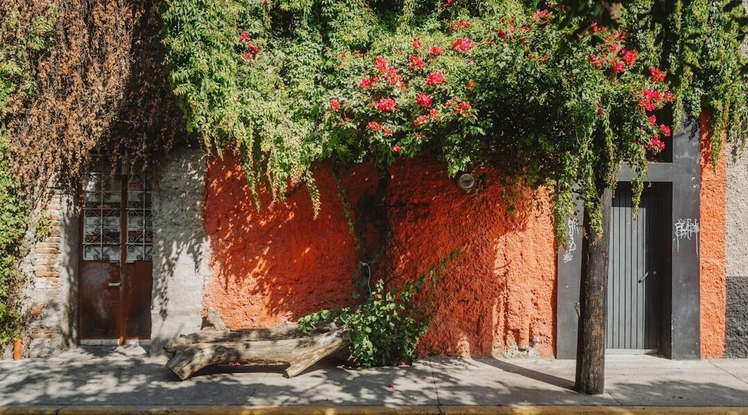 México lucha por recuperar la Copa Mundial de Clavados tras cancelación por seguridad