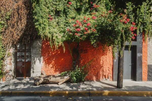 México lucha por recuperar la Copa Mundial de Clavados tras cancelación por seguridad