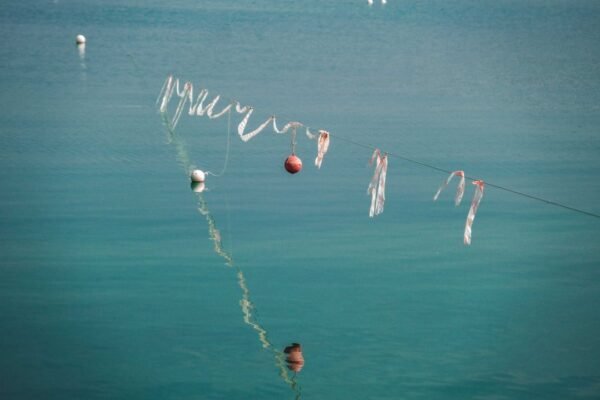México brilla en Montreal: Olvera y Celaya traen plata en saltos ornamentales