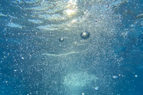 México brilla en Montreal: Olvera y Celaya conquistan el podio mundial