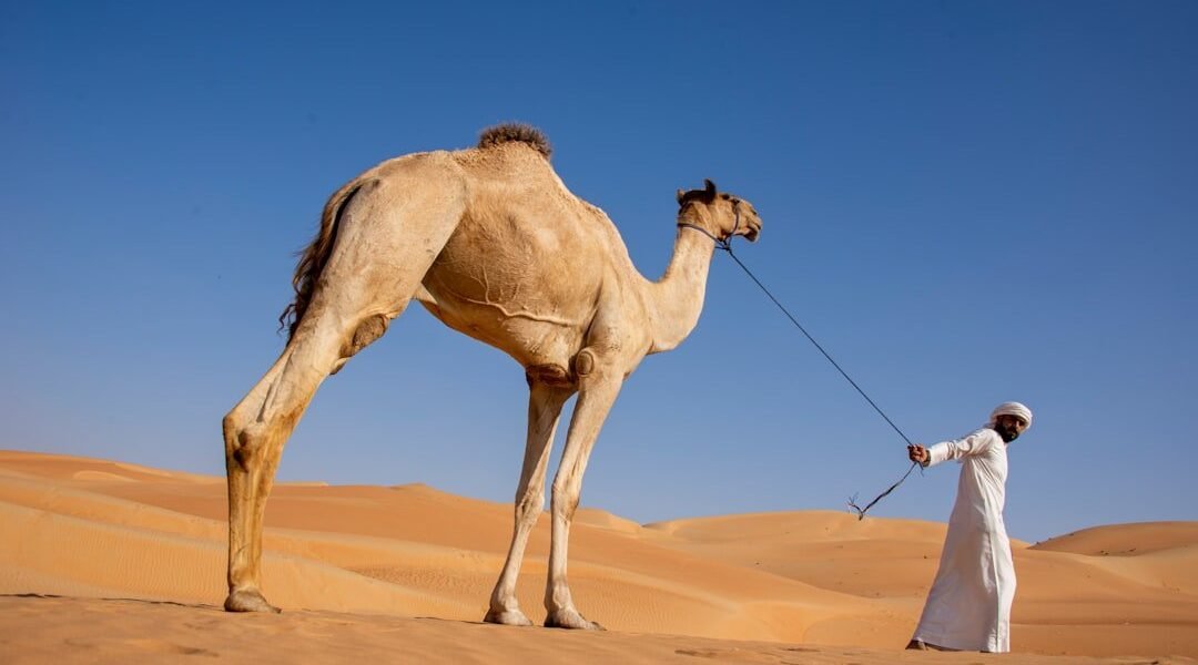 Tensión Irán-EEUU: cómo una crisis en Oriente Medio afecta tu bolsillo