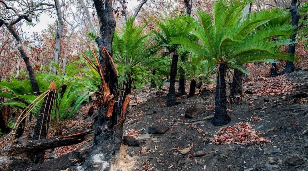 2026 llega con señales de recuperación: qué esperar en tu bolsillo