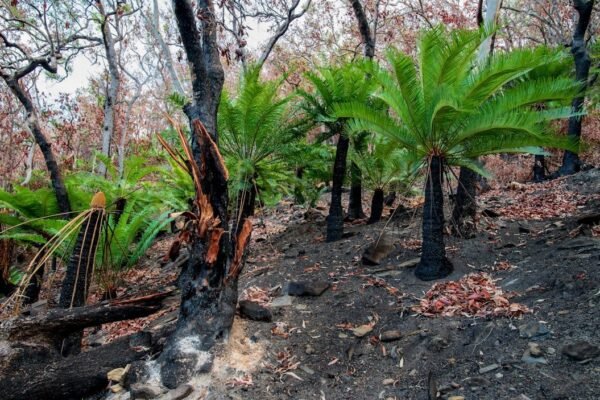 2026 llega con señales de recuperación: qué esperar en tu bolsillo