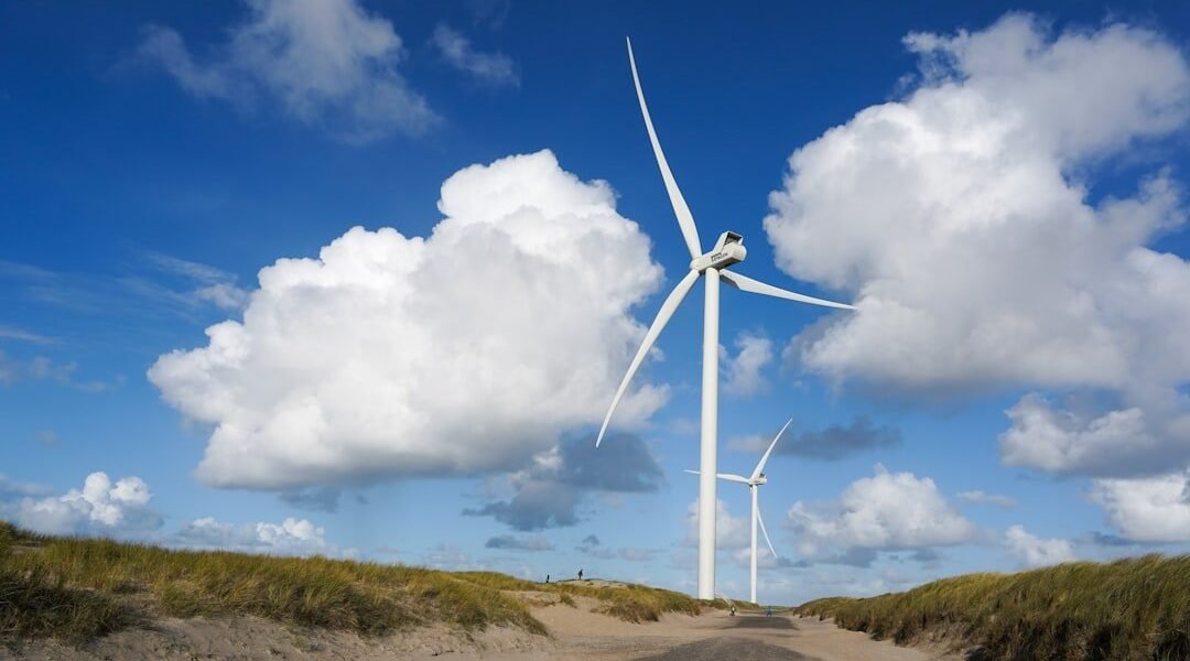 Estados y municipios: los nuevos protagonistas de la energía limpia