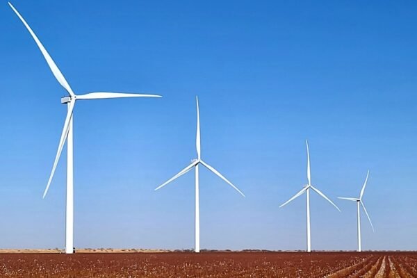 Estados y ciudades: los nuevos protagonistas de la transición energética