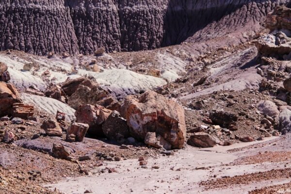 Alemania arma alianza industrial para escapar del dominio chino en minerales