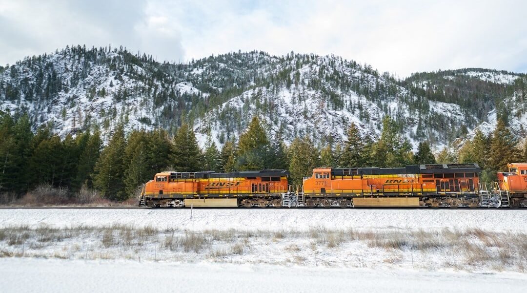 Grupo México busca hacerse con los trenes de carga: qué significa para tu bolsillo