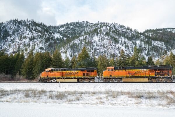 Grupo México busca hacerse con los trenes de carga: qué significa para tu bolsillo
